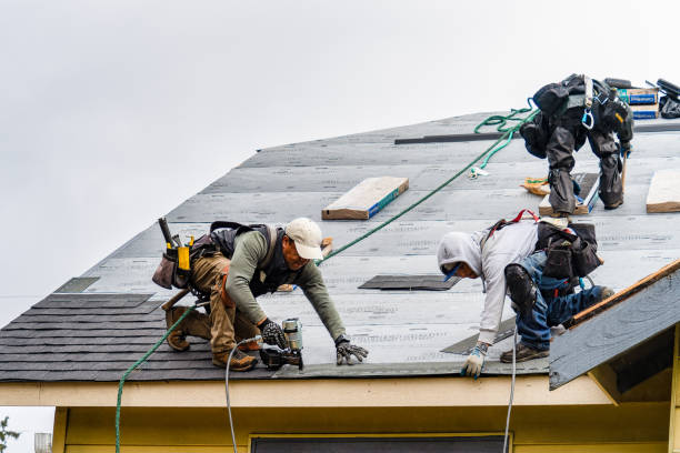 Professional Flat Roof Repair technician working in Metamora, IL